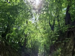 49619065411540773431868798874584695454776381n